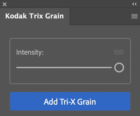 Kodak Trix Grain